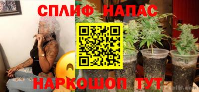бошки Донецк
