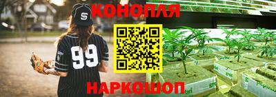 бошки Донецк